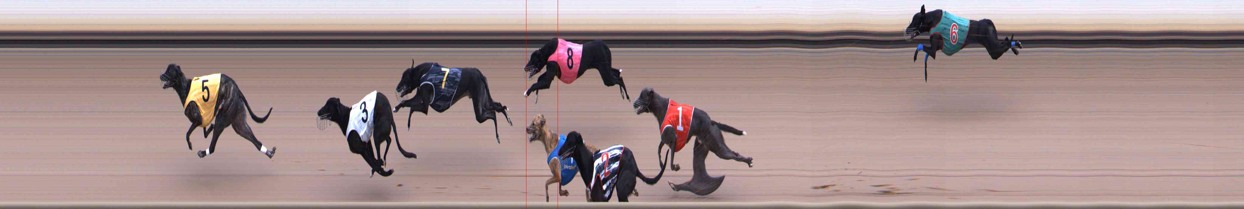 Race result finish photo